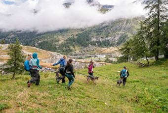 cani-hike dogs Tignes