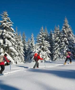 Mid-mountain guide Training