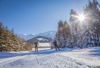 cross-country skiing, snow, sliding, biathlon