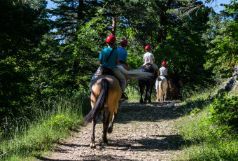 Horse riding