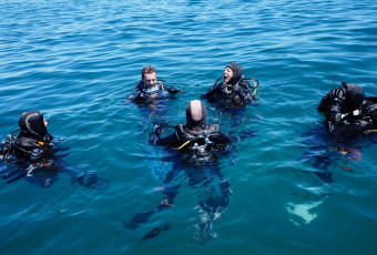 Adult diving baptism (14 years and +)