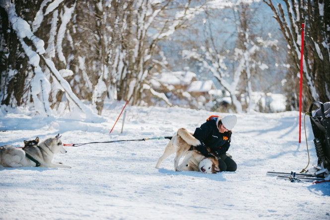 balade-chiens-de-traineau-activité-outdoor-evolution2