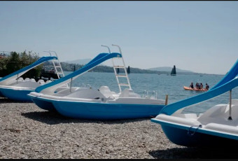 RENTAL AREA - LAKE OF GENEVA