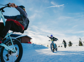 winter la plagne dog sledging