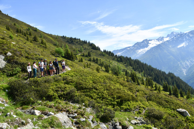 hiking evolution 2 guided mountain summer