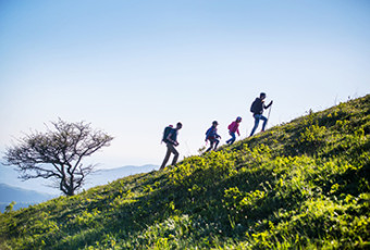 Hiking