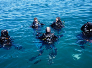 Training courses: FFESSM, CMAS, ANMP, PADI