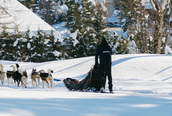 dog sledding, Megève, Saint-Gervais