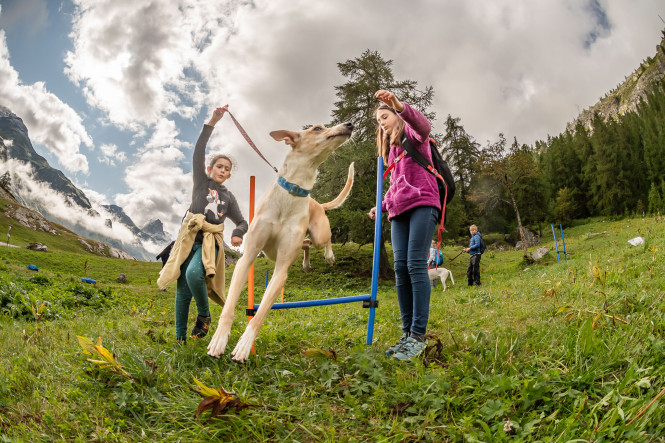 activities mountain french alps summer kids