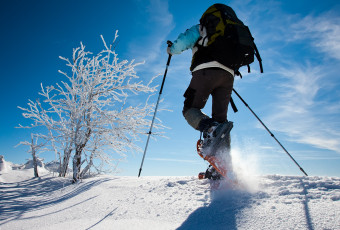 Snowshoes