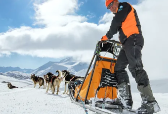 Sled Dog Baptism